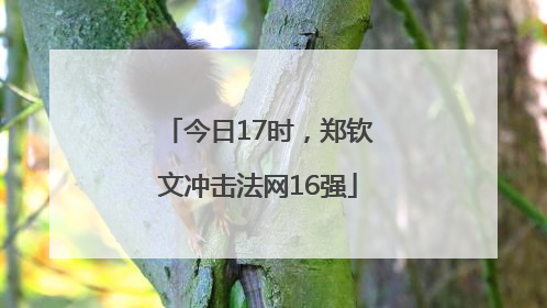 今日17时，郑钦文冲击法网16强