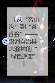 从“穷山沟”到“茶香谷”——沿河自治县志强村的“绿色逆袭”