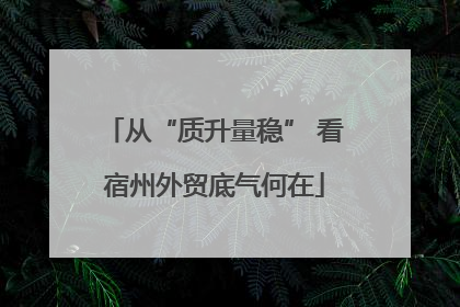 从“质升量稳” 看宿州外贸底气何在