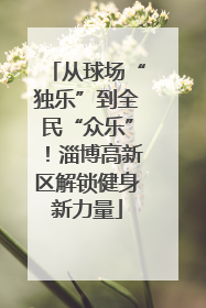 从球场“独乐”到全民“众乐”！淄博高新区解锁健身新力量