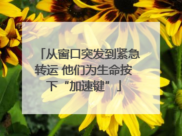 从窗口突发到紧急转运 他们为生命按下“加速键”