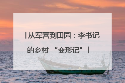 从军营到田园：李书记的乡村 “变形记”