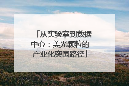 从实验室到数据中心：美光颗粒的产业化突围路径