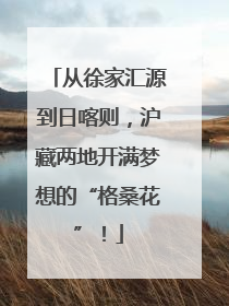 从徐家汇源到日喀则，沪藏两地开满梦想的“格桑花”！
