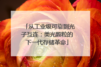 从工业级可靠到光子互连：美光颗粒的下一代存储革命