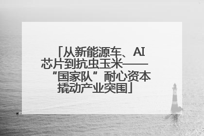 从新能源车、AI芯片到抗虫玉米——“国家队”耐心资本撬动产业突围