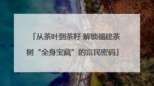 从茶叶到茶籽 解锁福建茶树“全身宝藏”的富民密码