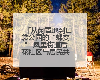 从闲置地到口袋公园的“蝶变” 凤里街道后花社区与居民共筑美好家园