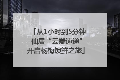 从1小时到5分钟 仙居“云端速递”开启杨梅锁鲜之旅