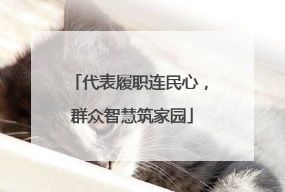 代表履职连民心，群众智慧筑家园