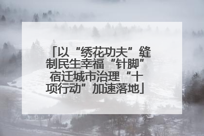 以“绣花功夫”缝制民生幸福“针脚” 宿迁城市治理“十项行动”加速落地