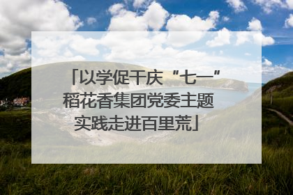 以学促干庆“七一” 稻花香集团党委主题实践走进百里荒