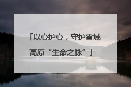 以心护心，守护雪域高原“生命之脉”