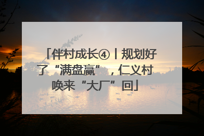 伴村成长④丨规划好了“满盘赢”，仁义村唤来“大厂”回