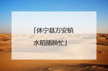 休宁县万安镇水稻插秧忙