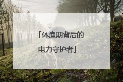 休渔期背后的电力守护者