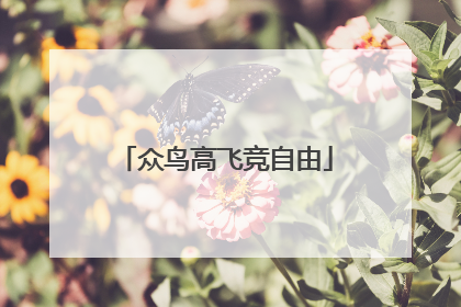 众鸟高飞竞自由