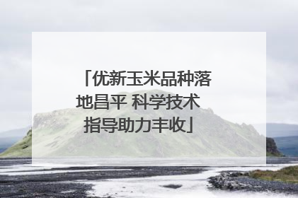 优新玉米品种落地昌平 科学技术指导助力丰收