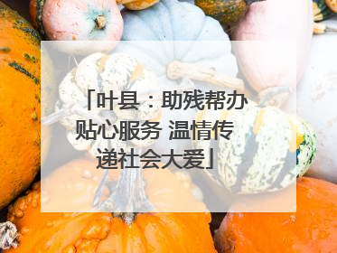 叶县：助残帮办贴心服务 温情传递社会大爱
