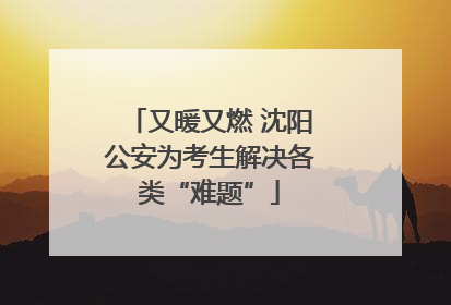 又暖又燃 沈阳公安为考生解决各类“难题”