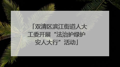 双清区滨江街道人大工委开展“法治护绿护安人大行”活动
