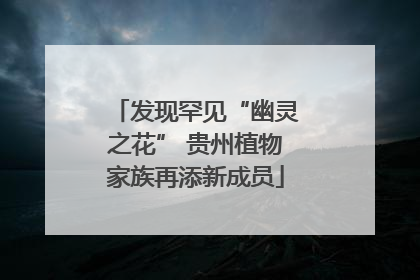 发现罕见“幽灵之花” 贵州植物家族再添新成员