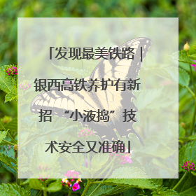 发现最美铁路｜银西高铁养护有新招 “小液捣”技术安全又准确