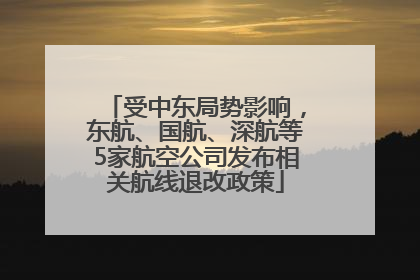受中东局势影响，东航、国航、深航等5家航空公司发布相关航线退改政策
