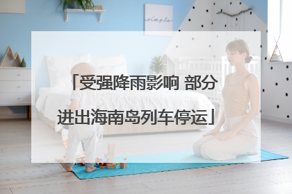 受强降雨影响 部分进出海南岛列车停运