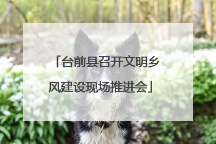 台前县召开文明乡风建设现场推进会