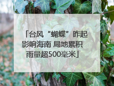 台风“蝴蝶”昨起影响海南 局地累积雨量超500毫米