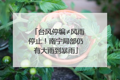 台风停编≠风雨停止！南宁局部仍有大雨到暴雨