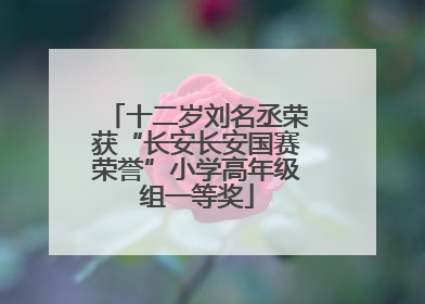 十二岁刘名丞荣获“长安长安国赛荣誉”小学高年级组一等奖