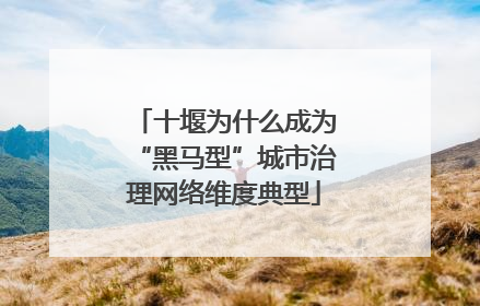 十堰为什么成为“黑马型”城市治理网络维度典型