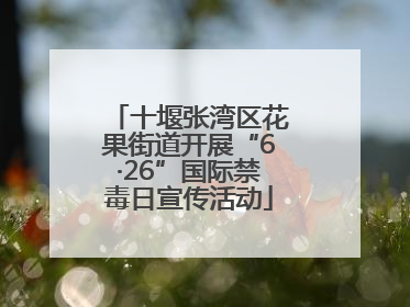 十堰张湾区花果街道开展“6·26”国际禁毒日宣传活动