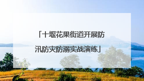 十堰花果街道开展防汛防灾防溺实战演练