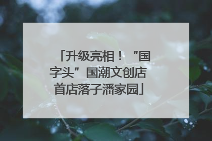 升级亮相！“国字头”国潮文创店首店落子潘家园