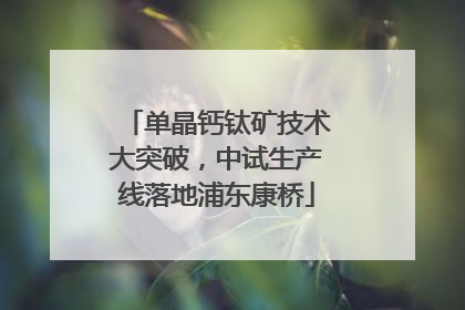 单晶钙钛矿技术大突破，中试生产线落地浦东康桥