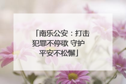 南乐公安：打击犯罪不停歇 守护平安不松懈