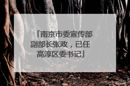 南京市委宣传部副部长张政，已任高淳区委书记