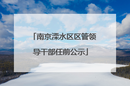 南京溧水区区管领导干部任前公示