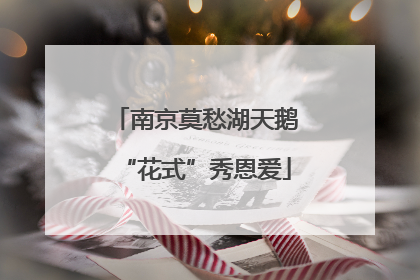 南京莫愁湖天鹅“花式”秀恩爱