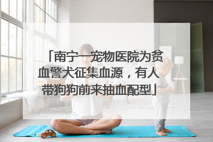 南宁一宠物医院为贫血警犬征集血源，有人带狗狗前来抽血配型
