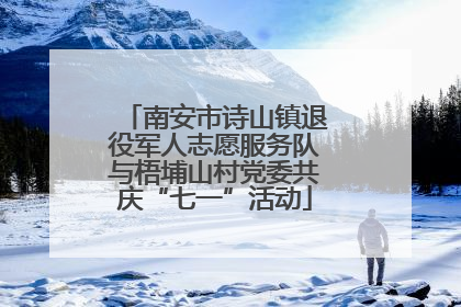 南安市诗山镇退役军人志愿服务队与梧埔山村党委共庆“七一”活动