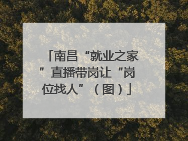 南昌“就业之家”直播带岗让“岗位找人”（图）