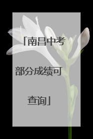 南昌中考部分成绩可查询