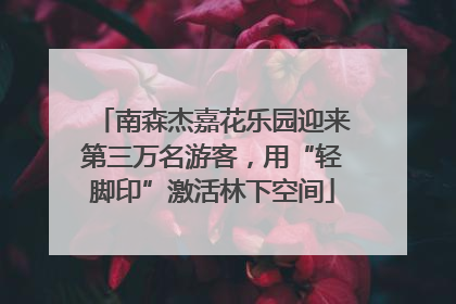 南森杰嘉花乐园迎来第三万名游客，用“轻脚印”激活林下空间