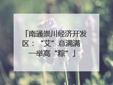 南通崇川经济开发区：“艾”意满满 一举高“粽”