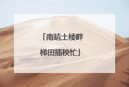 南靖土楼畔 梯田插秧忙