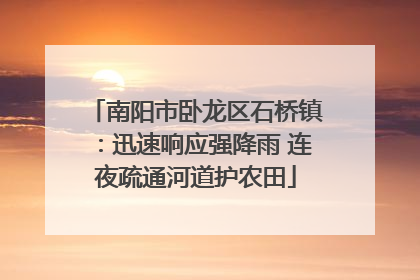 南阳市卧龙区石桥镇：迅速响应强降雨 连夜疏通河道护农田